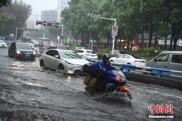 追觅业务发展说明